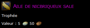 Aile de nicbriqueux sale