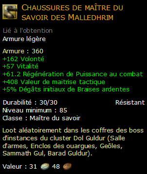 Chaussures de maître du savoir des Malledhrim