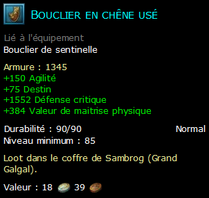 Bouclier en chêne usé