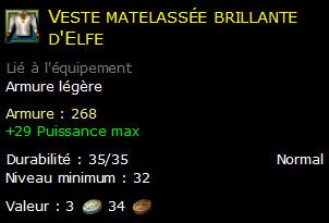 Veste matelassée brillante d'Elfe