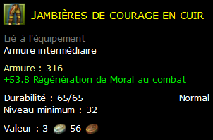 Jambières de courage en cuir