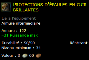 Protections d'épaules en cuir brillantes