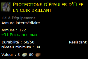 Protections d'épaules d'Elfe en cuir brillant