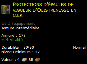 Protections d'épaules de vigueur d'Ouistrenesse en cuir