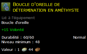 Boucle d'oreille de détermination en améthyste