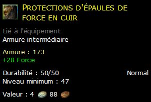 Protections d'épaules de force en cuir