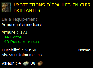 Protections d'épaules en cuir brillantes