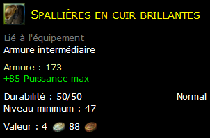 Spallières en cuir brillantes