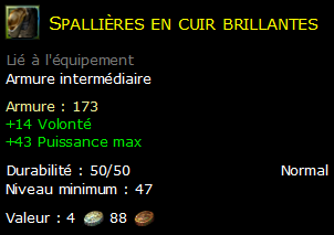 Spallières en cuir brillantes