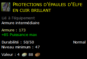 Protections d'épaules d'Elfe en cuir brillant