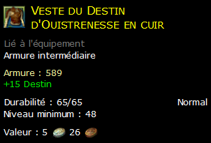 Veste du Destin d'Ouistrenesse en cuir