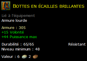 Bottes en écailles brillantes