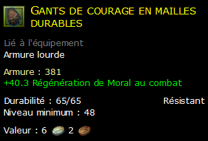 Gants de courage en mailles durables