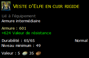 Veste d'Elfe en cuir rigide