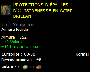 Protections d'épaules d'Ouistrenesse en acier brillant