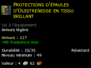 Protections d'épaules d'Ouistrenesse en tissu brillant