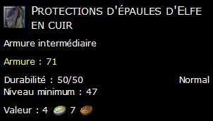 Protections d'épaules d'Elfe en cuir