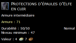 Protections d'épaules d'Elfe en cuir