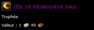 Œil de nicbriqueux sale