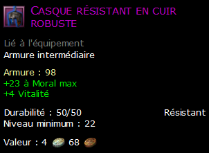 Casque résistant en cuir robuste