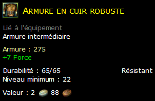 Armure en cuir robuste