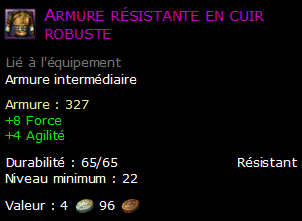 Armure résistante en cuir robuste