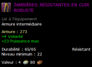 Jambières résistantes en cuir robuste