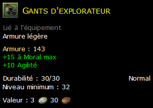 Gants d'explorateur
