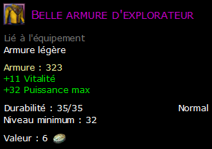 Belle armure d'explorateur