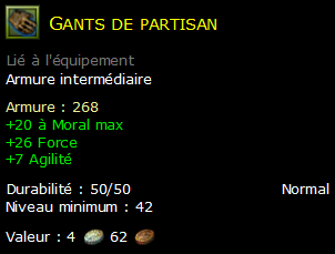 Gants de partisan