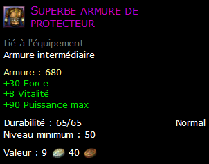 Superbe armure de protecteur