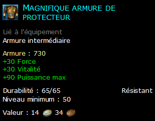 Magnifique armure de protecteur