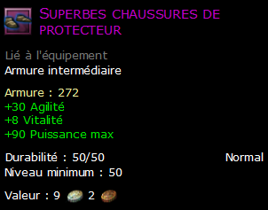 Superbes chaussures de protecteur