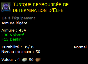 Tunique rembourrée de détermination d'Elfe