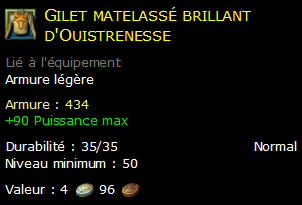 Gilet matelassé brillant d'Ouistrenesse