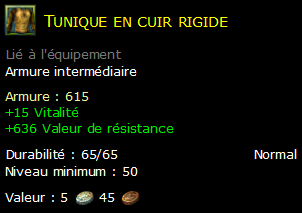 Tunique en cuir rigide