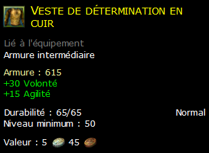 Veste de détermination en cuir