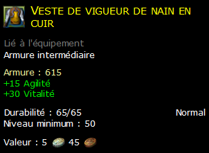 Veste de vigueur de nain en cuir