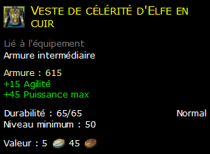 Veste de célérité d'Elfe en cuir