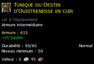 Tunique du Destin d'Ouistrenesse en cuir