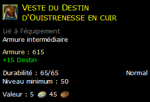 Veste du Destin d'Ouistrenesse en cuir