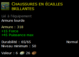 Chaussures en écailles brillantes