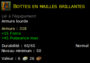 Bottes en mailles brillantes