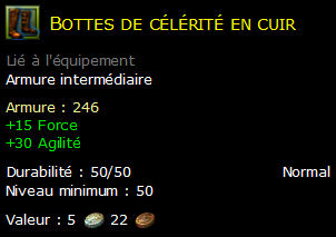 Bottes de célérité en cuir