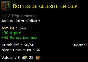 Bottes de célérité en cuir