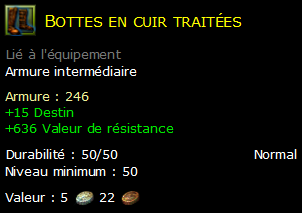 Bottes en cuir traitées