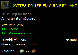 Bottes d'Elfe en cuir brillant