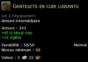 Gantelets en cuir luisants