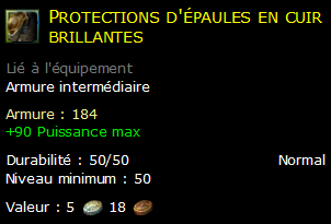 Protections d'épaules en cuir brillantes