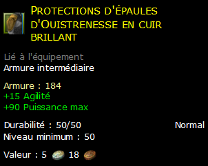 Protections d'épaules d'Ouistrenesse en cuir brillant